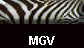 MGV