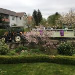 Musikalisches Wecken mit den Oderwaldmusikanten